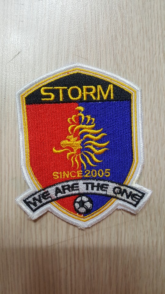 storm2014 Emblem