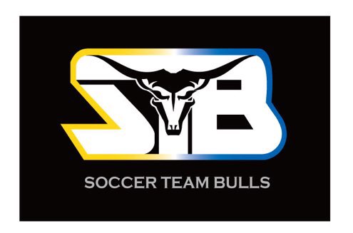 STB Emblem