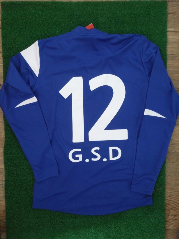 G.S.D 팀