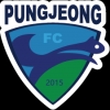 풍정FC Emblem