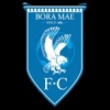 보라매FC Emblem